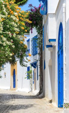 Sidi Bou Said küçük kasabasında Mavi ve beyaz sokak, Tunus, dikey