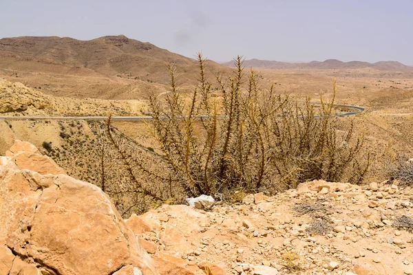 Veduta della strada nel deserto montagne da dietro un cespuglio con spine, Tunisia — Foto Stock