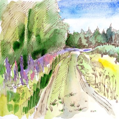 Orman manzarası, taslak, yeşil orman, köy yolu, suluboya, kalem, el yapımı.