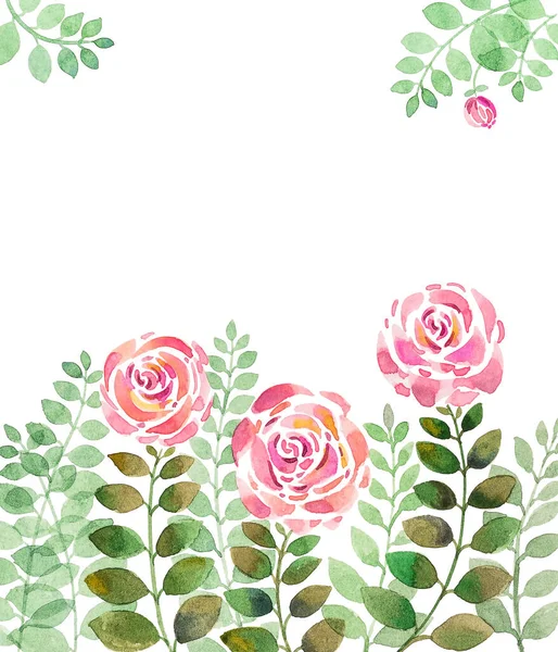 Три розы с зелеными листьями на белом фоне, акварель ручной работы — стоковое фото