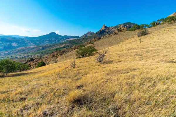 Yellow mountain slope with dry grass, in the distance tops of mountains, Crimea. Two dry trees and several green, blue skies.