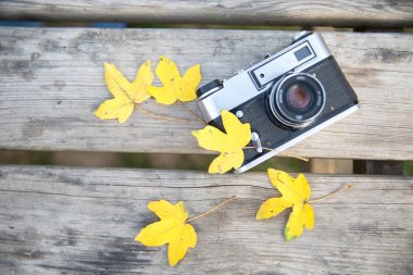 Yapraklı eski iki fotoğraf makinesi. 