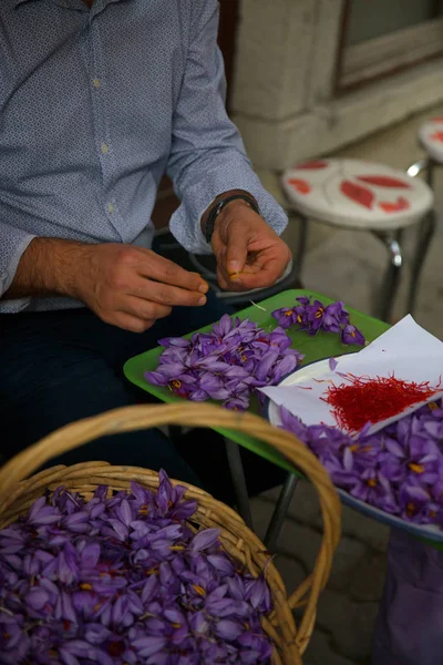 Hombre Trabajando Azafrán — Foto de Stock