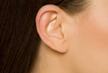 Closeup of ear of young woman clipart