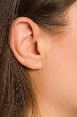 Closeup of female ear clipart