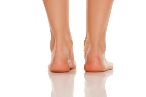 Beautifully Groomed Heels White Background — Stock Photo, Image