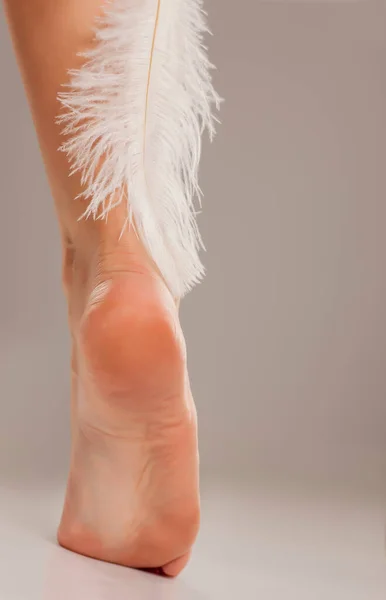 Добре Харчується Жіноча Нога Біле Перо Сірому Фоні — стокове фото
