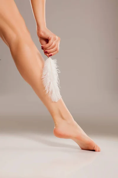 Well Nourished Woman Leg White Feather Gray Background — Stock Photo, Image