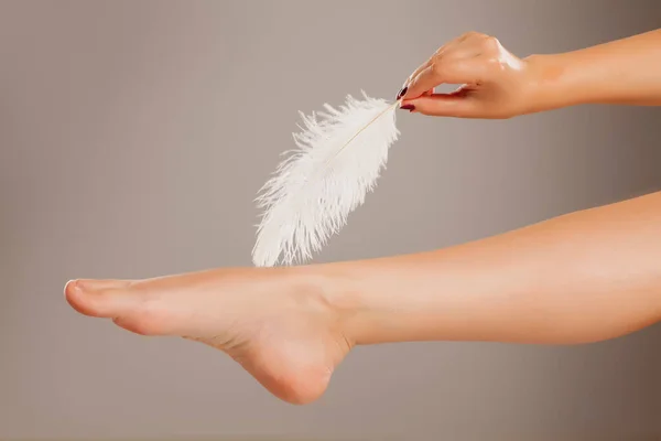 Dobrze Odżywiona Noga Kobiety Białe Pióro Szarym Tle — Zdjęcie stockowe