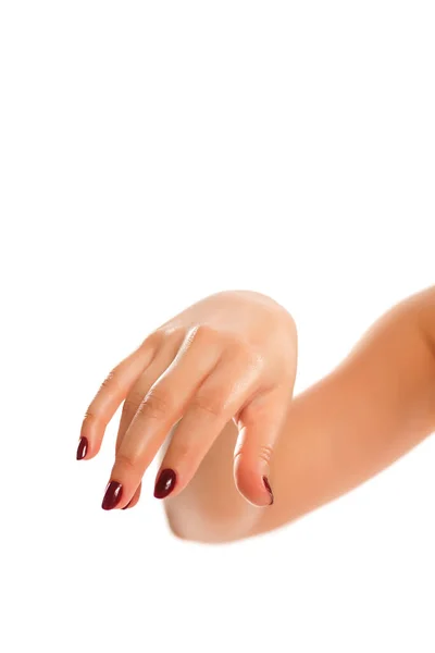Mão Feminina Isolada Sobre Branco — Fotografia de Stock
