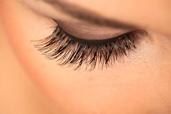 Yapay Kirpikli Makyajlı Kadın Gözünün Yakın Çekimi — Stok fotoğraf