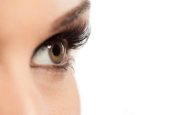 Closeup Made Female Eye Artificial Eyelashes — Stock Photo, Image