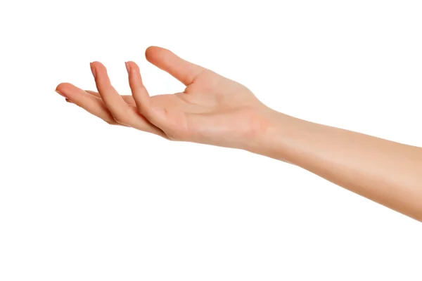 Weibliche Offene Handfläche Auf Weißem Hintergrund — Stockfoto