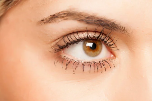 Närbild Kvinnliga Ögon — Stockfoto