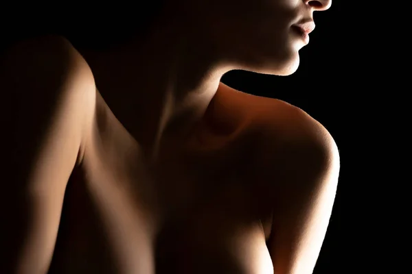 Silhouette Einer Nackten Hübschen Frau Auf Schwarzem Hintergrund — Stockfoto