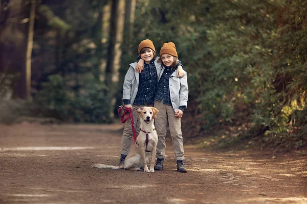 Lächelnde Brüder Die Sich Umarmen Und Mit Golden Retriever Wald — Stockfoto