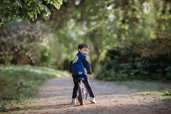 Achteraanzicht Van Jongen Fietsten Het Park Weg — Stockfoto