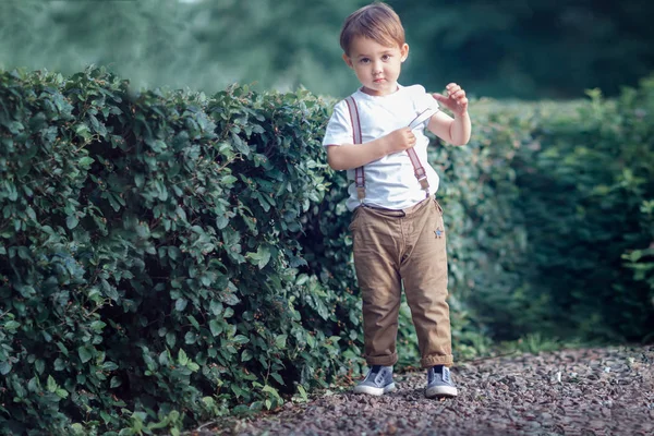 Повнометражний Знімок Маленького Хлопчика Парку Дивлячись Камеру — стокове фото