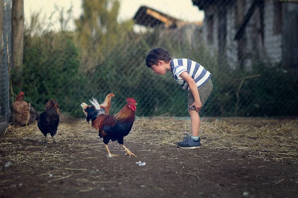 bahçede horoz arıyorum çocuk 