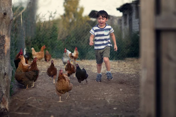 Menino Feliz Correndo Quintal Com Galinhas — Fotografia de Stock