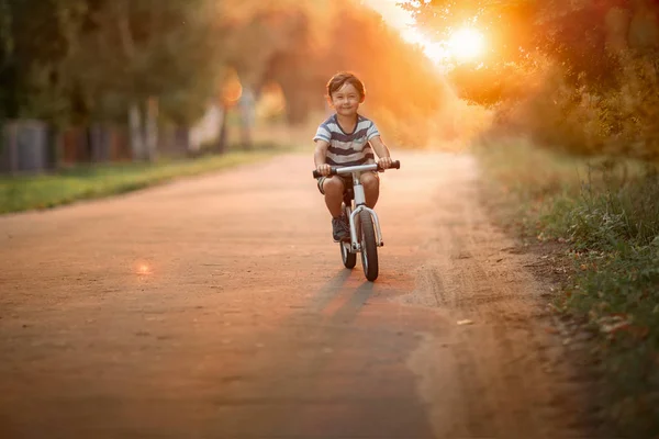 Piccolo Ragazzo Bicicletta Sulla Strada Estate — Foto Stock