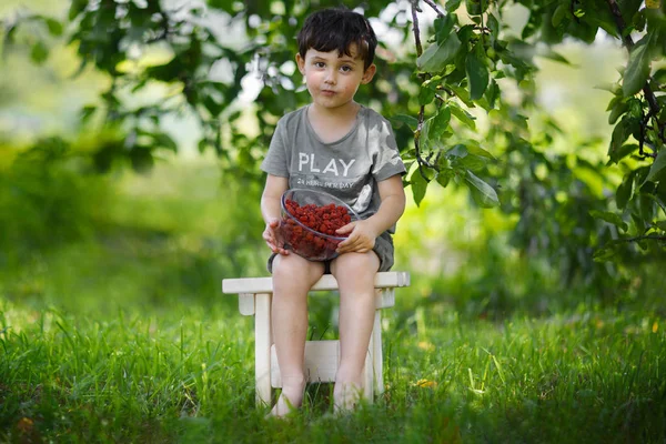 Jongen Zit Kruk Met Glazen Kom Van Frambozen Tuin — Stockfoto