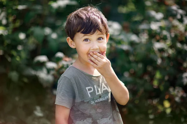 Jongen Eten Van Frambozen Kijken Naar Camera Tuin — Stockfoto