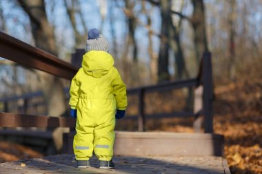 Parktaki köprüde arkadan görünüm sonbahar kapsamlı ayakta, çocuk