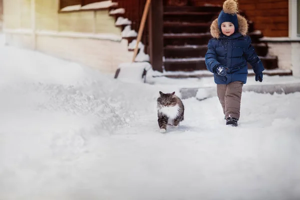 small boy running with fluffy cat on the yard at winter