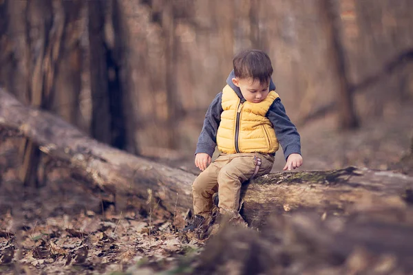 Pequeno Menino Sentado Velho Tronco Árvore Parque — Fotografia de Stock