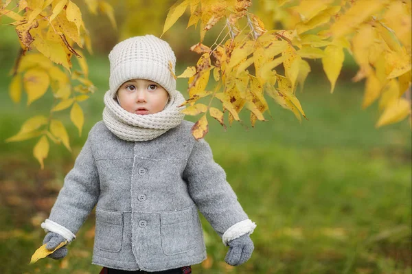 Портрет Маленького Мальчика Смотрящего Сторону Желтыми Листьями Дереве Парке — стоковое фото
