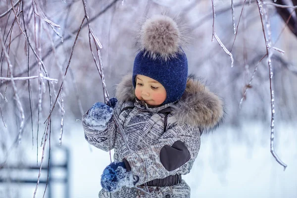 Portrait Garçon Joyeux Regardant Une Branche Arbre Gelée Hiver — Photo