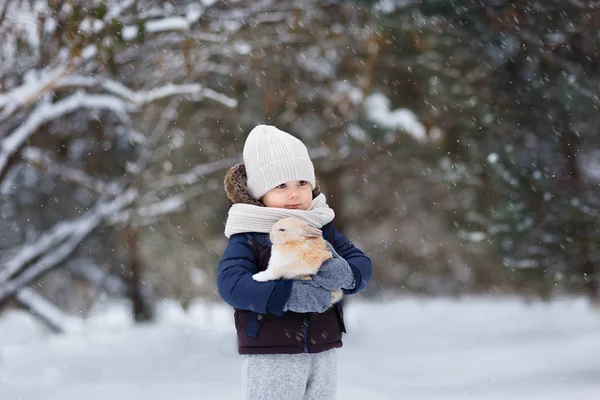Portrait Cheerful Boy Holding Rabbit Snowy Park — Stock Photo, Image