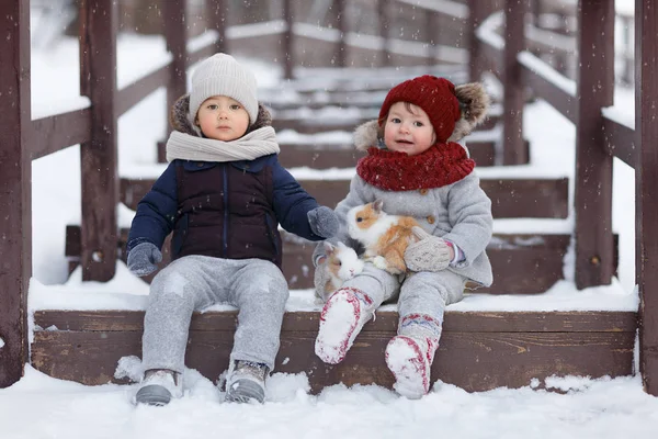 Chlapec Dívka Sedící Dřevěný Most Králíky Parku Zimě — Stock fotografie