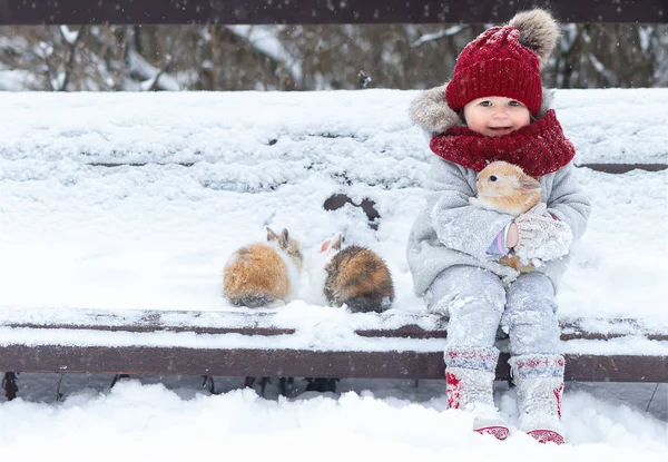 Šťastná Dívka Sedící Dřevěné Lavici Králíky Parku Zimě — Stock fotografie