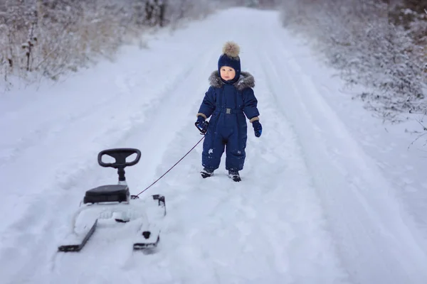 Full Length Shot Cheerful Boy Standing Snowy Road Sledge Winter — Stock Photo, Image