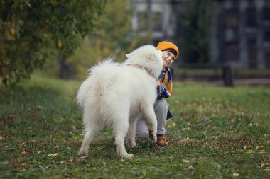 samoyed köpek gülümseyen çocuk dışarıda yalama 