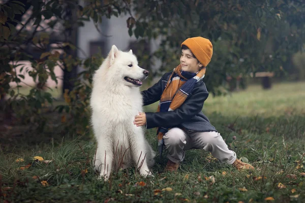 Menino Sorrindo Olhando Para Cão Samoyed Parque — Fotografia de Stock