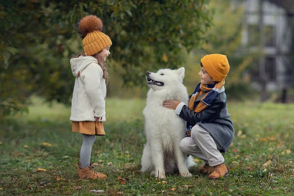 Pojke Och Flicka Tittar Hund Utomhus Höst Park — Stockfoto