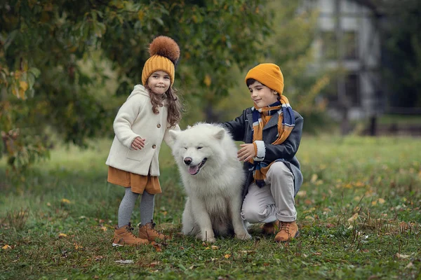 sevimli kız ve oğlan okşayarak samoyed köpek açık havada 