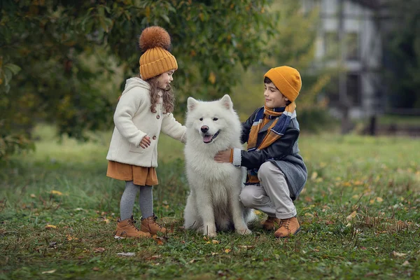 Bror Och Syster Kramar Hund Parken Hösten — Stockfoto