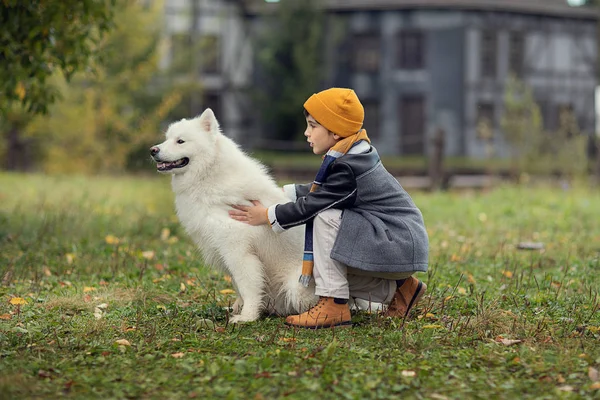 Vista Laterale Del Ragazzo Che Abbraccia Con Cane Nel Parco — Foto Stock