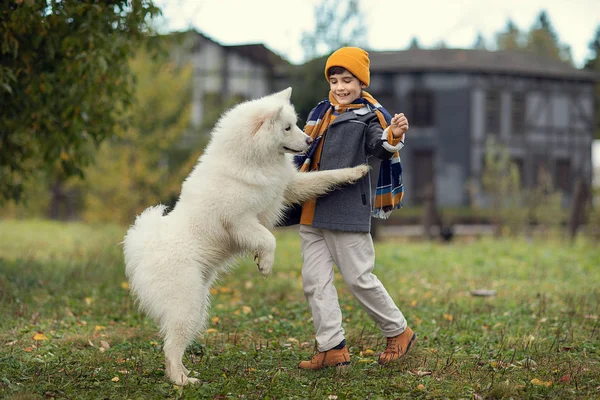 Full Längd Skott Pojke Leker Med Hund Parken — Stockfoto