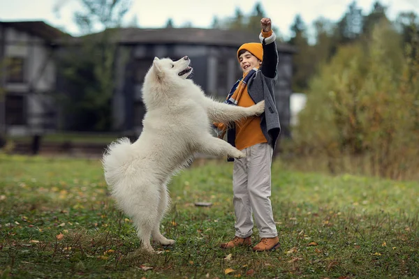 Full Längd Skott Pojke Leker Med Samojedvalpar Hund Parken Hösten — Stockfoto