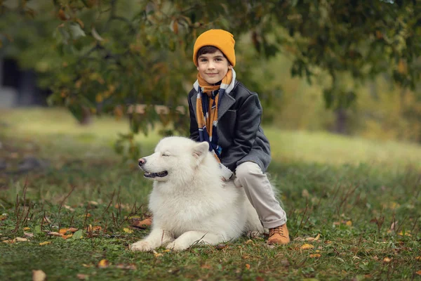 Веселий Хлопчик Сидить Самозайнятій Собаці Відкритому Повітрі Дивиться Камеру — стокове фото
