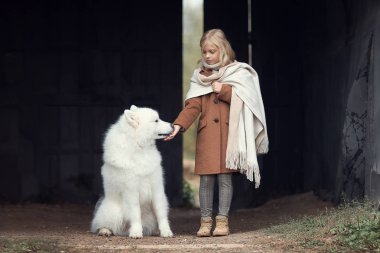 samoyed köpek kızın elini açık havada yalama 