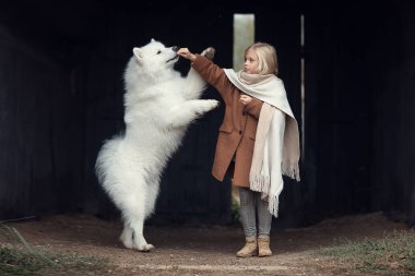 Tam uzunlukta atış neşeli kız açık havada köpek besleme