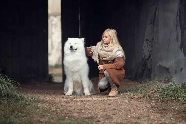 Söt Blond Tjej Strök Hund Utomhus Dagtid — Stockfoto