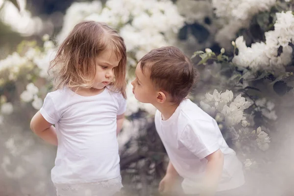 Portrait Cute Girl Boy Looking Each Other Blooming Garden — Stock Photo, Image