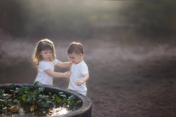 Little Boy Girl Playing Well Water Lilies — Stock Photo, Image